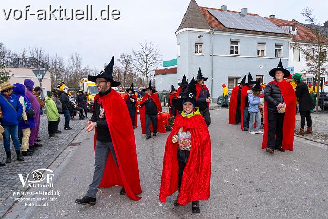 Foto Laudi_Pleintinger_Faschingszug-206198.jpg